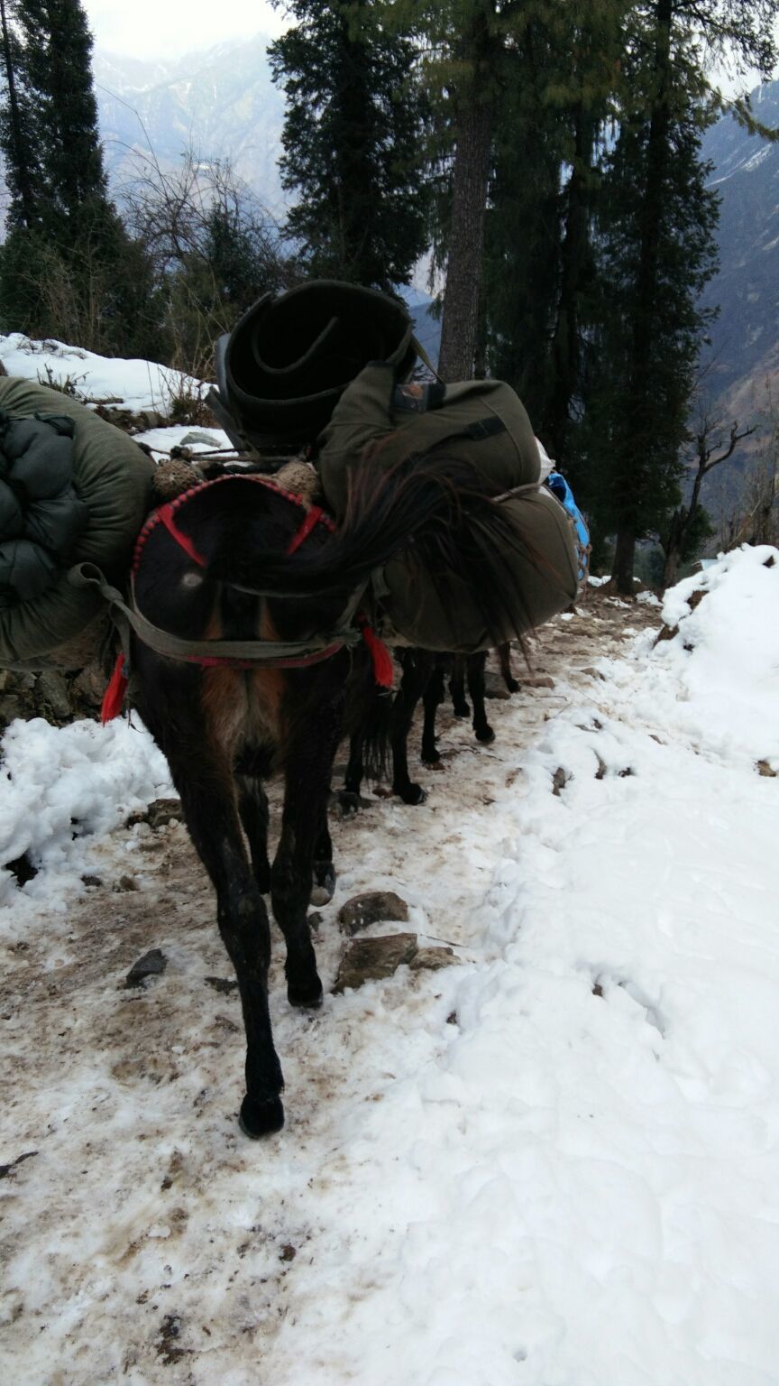 Photo of Kedarkantha winter trek by Deepak Goswami