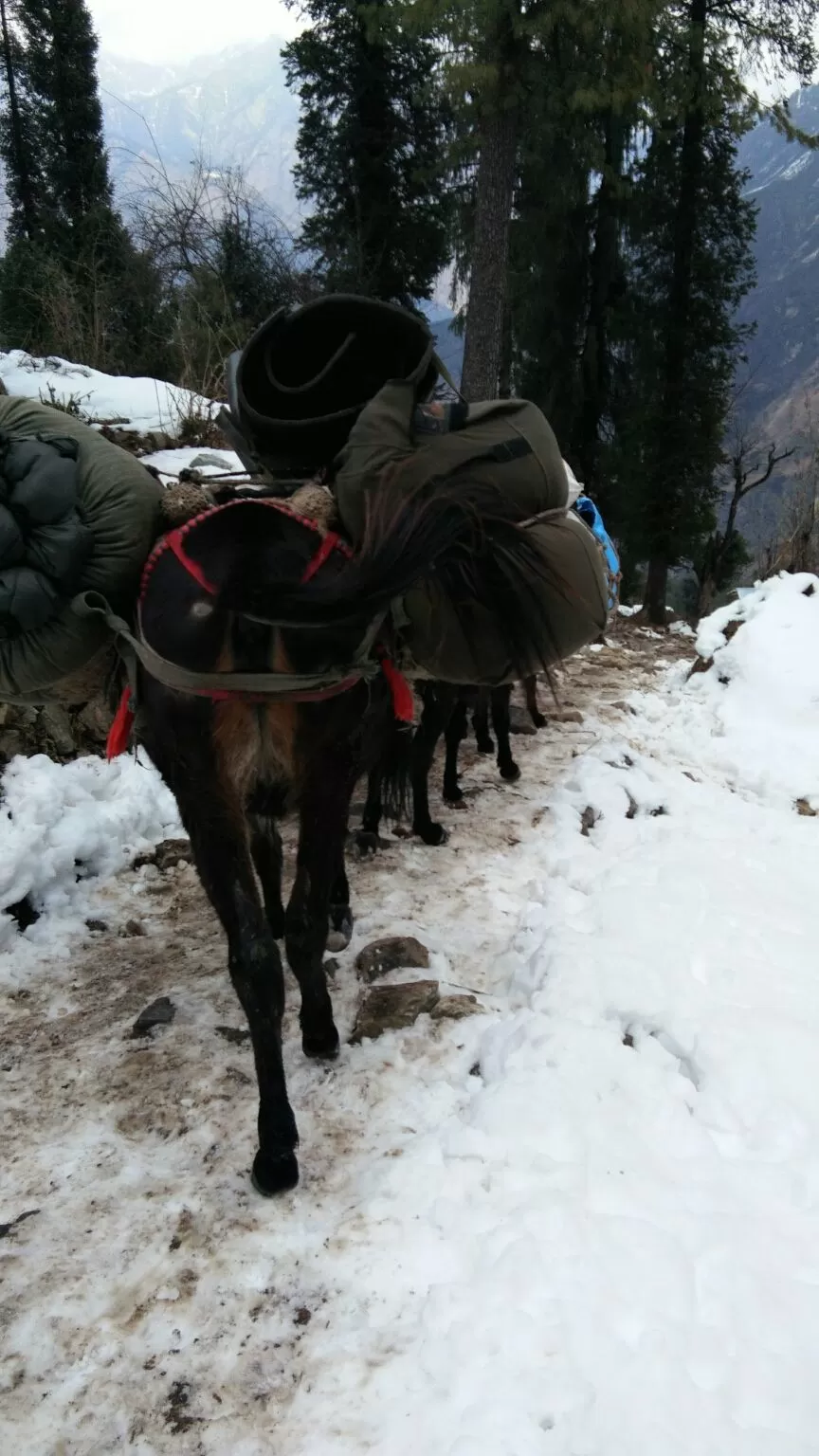 Photo of Kedarkantha winter trek by Deepak Goswami