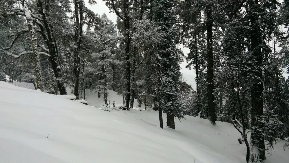 Photo of Kedarkantha winter trek by Deepak Goswami