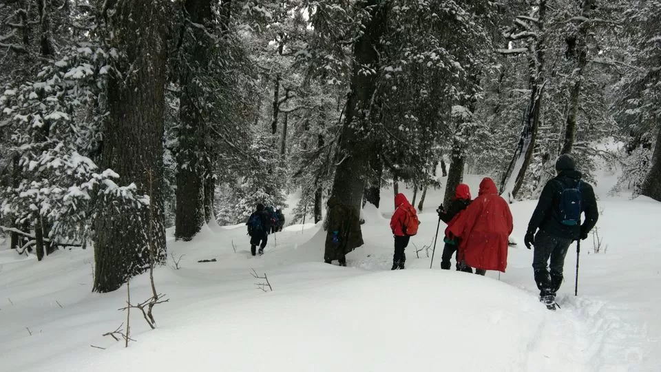 Photo of Kedarkantha winter trek by Deepak Goswami