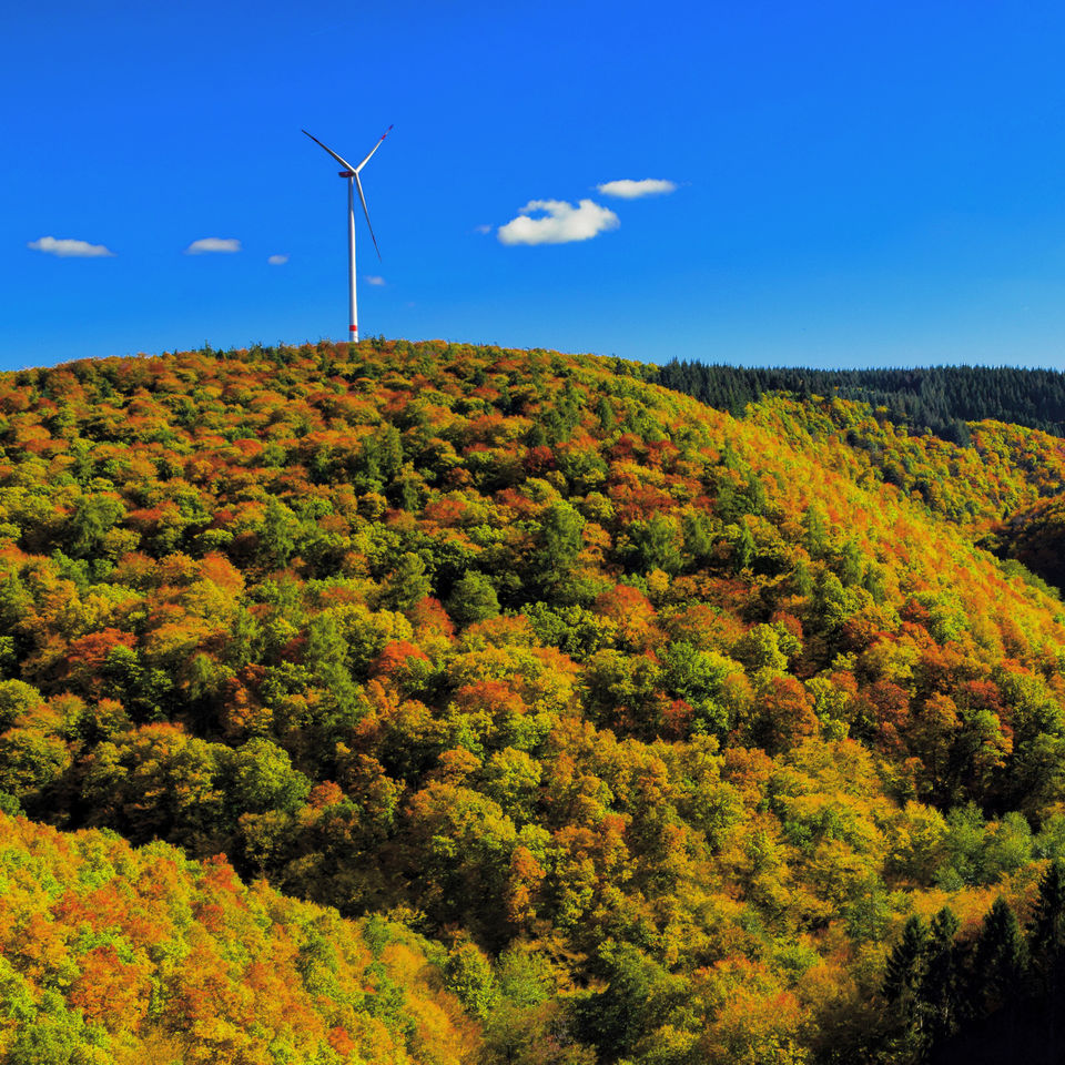 Photo of Autumn gemstones- Eltz Castle and Geierlay by Abhishek shrivastav