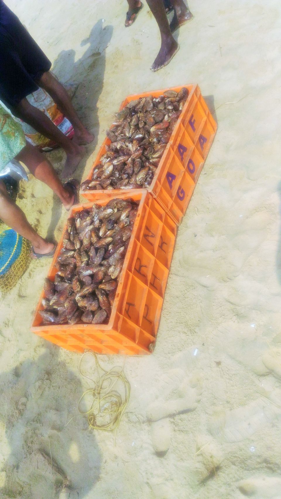 Photo of PAPANASHAM (Destroyer of Sins) / VARKALA beach : Must VISIT once in a lifetime. by Ragesh r nair