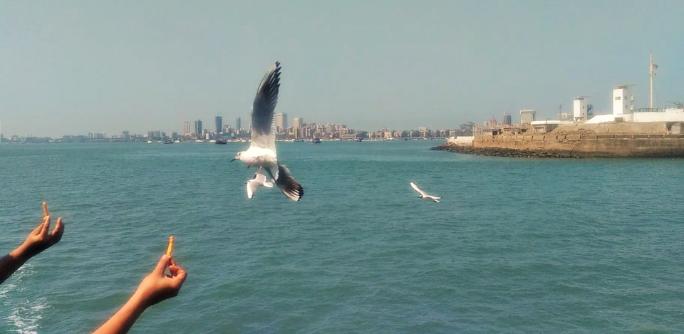 Photo of Elephanta caves, Getaway in Mumbai by Ragesh Nair