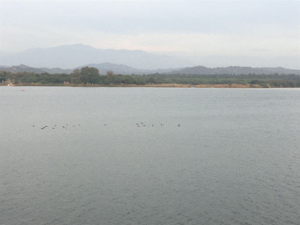 Photo of Sukhna Lake by Anshu Srihan