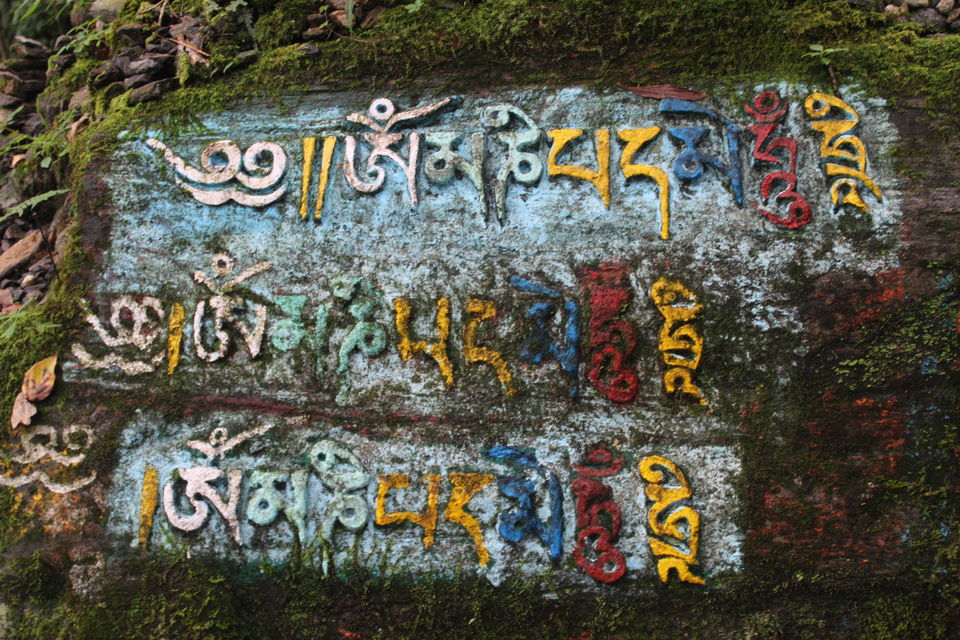 Photo of Khecheopalri Lake, Sikkim by Jayashree Sengupta