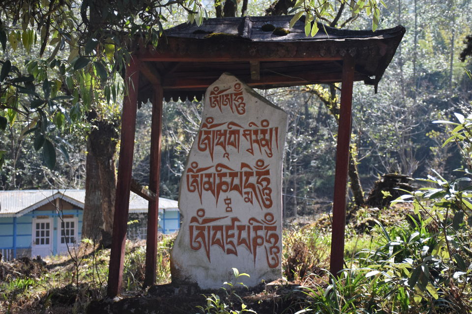 Photo of Mt Narsing Village Resort, Legship-Rabongla Road, Bakhim, Sikkim, India by Jayashree Sengupta