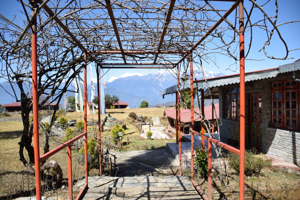 Photo of Mt Narsing Village Resort, Legship-Rabongla Road, Bakhim, Sikkim, India by Jayashree Sengupta