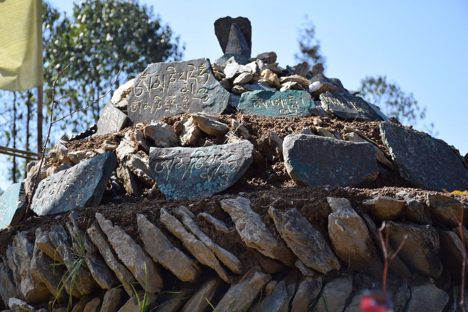 Photo of Mt Narsing Village Resort, Legship-Rabongla Road, Bakhim, Sikkim, India by Jayashree Sengupta