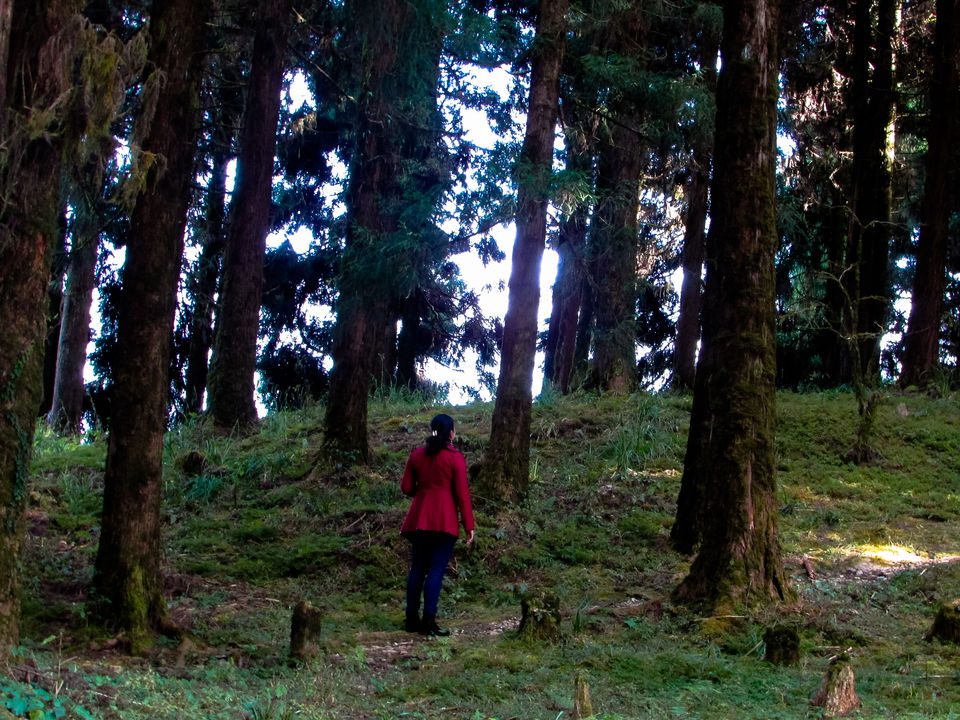 Photo of Rayong Sunrise View Point, Damthang-Rabongla Road, Sikkim, India by Jayashree Sengupta