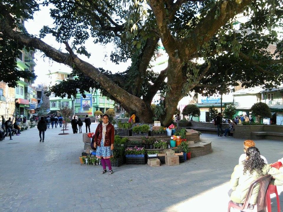 Photo of Central Park Namchi, Namchi-Manpur Road, Namchi, Sikkim, India by Jayashree Sengupta