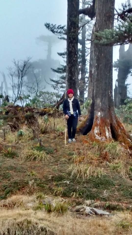 Photo of Bhaleydhunga, Sikkim, India by Jayashree Sengupta