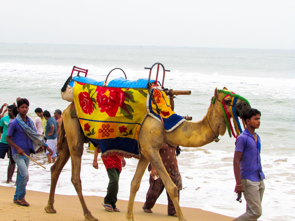 Photo of Puri, Odisha, India by Jayashree Sengupta