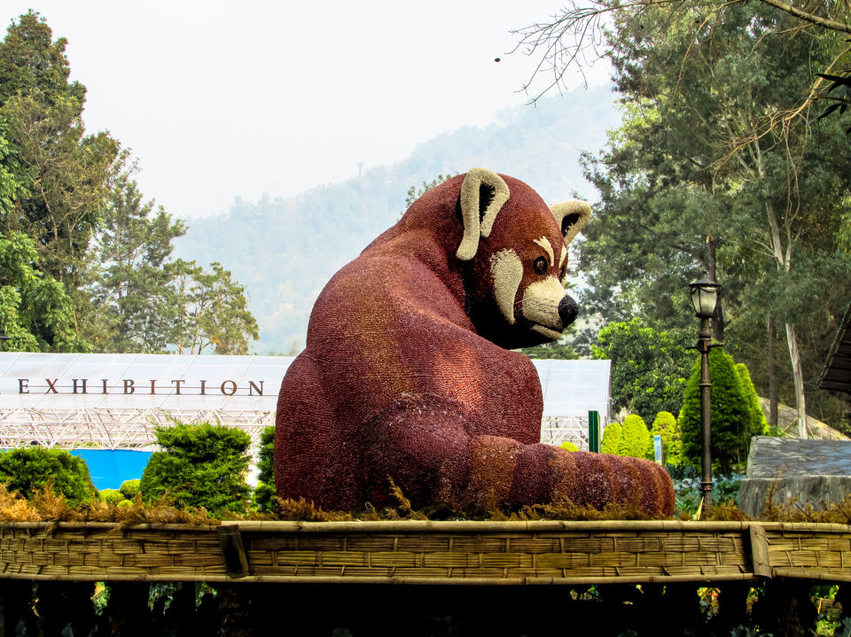 Photo of Saramsa Garden, Sikkim, India by Jayashree Sengupta