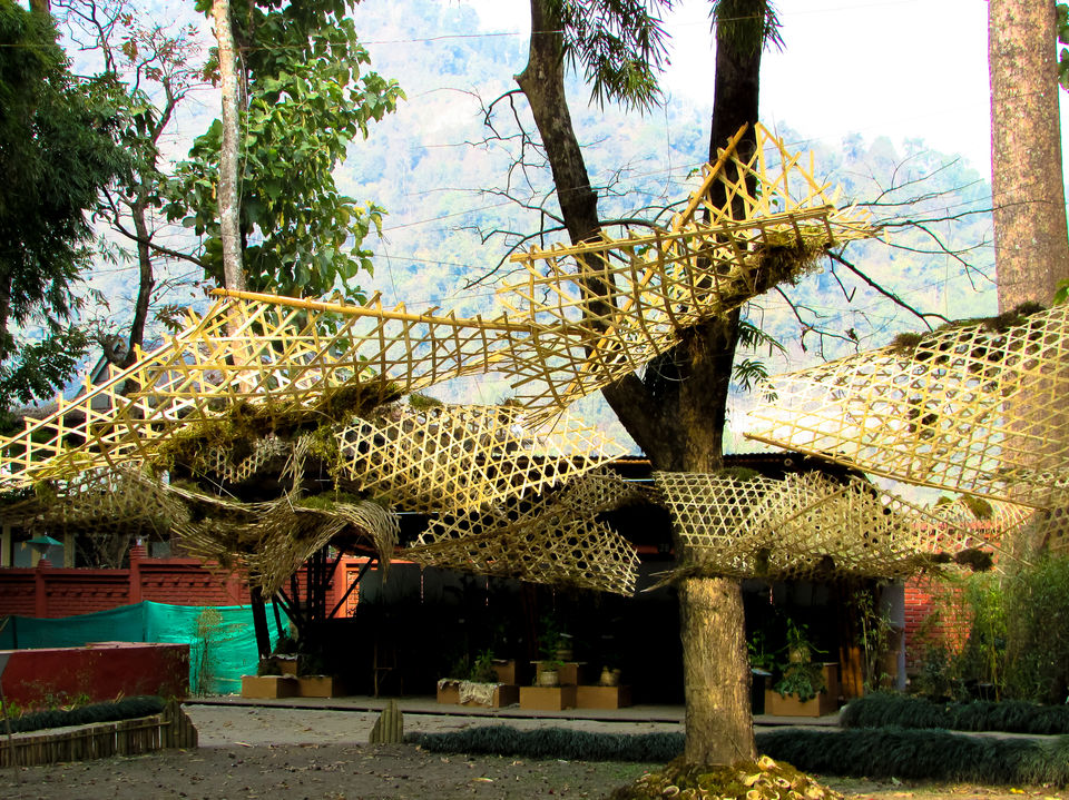 Photo of Saramsa Garden, Sikkim, India by Jayashree Sengupta