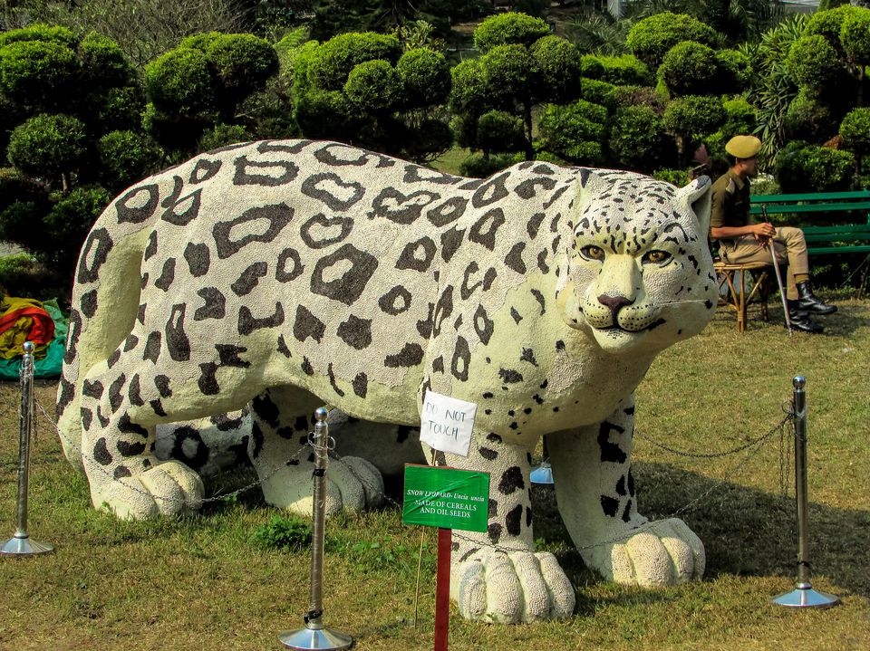 Photo of Saramsa Garden, Sikkim, India by Jayashree Sengupta