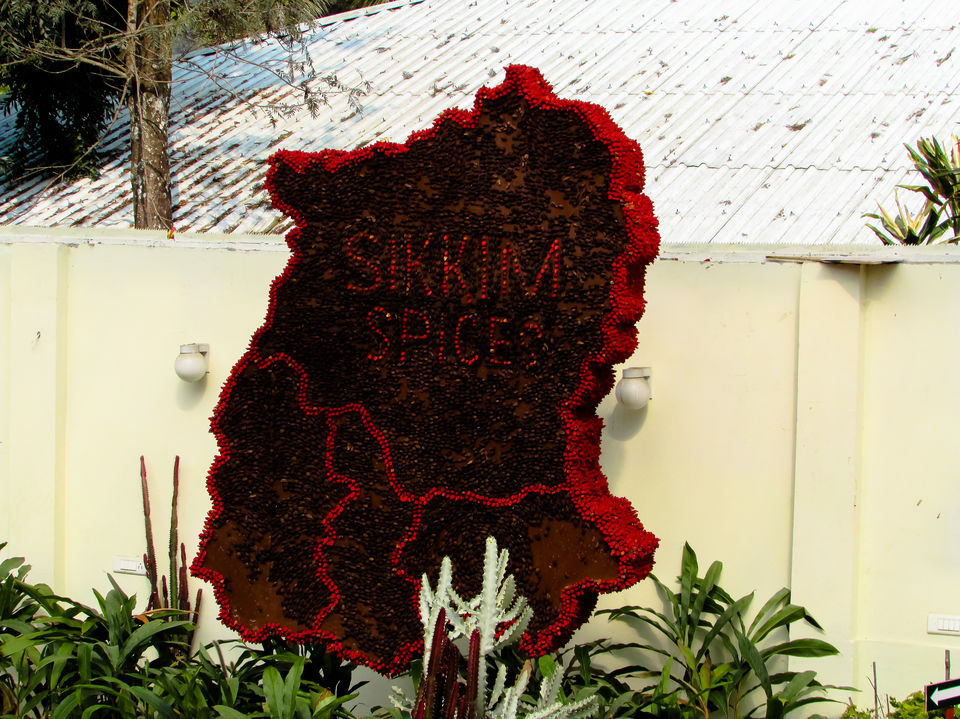 Photo of Saramsa Garden, Sikkim, India by Jayashree Sengupta