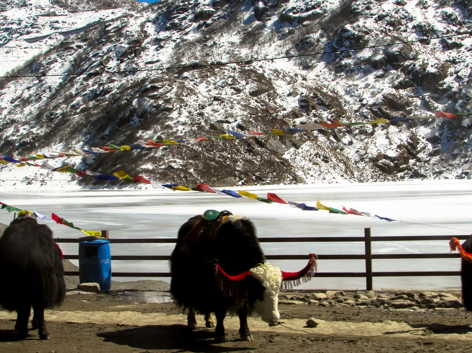 Photo of Tsomgo Lake, Sikkim, India by Jayashree Sengupta