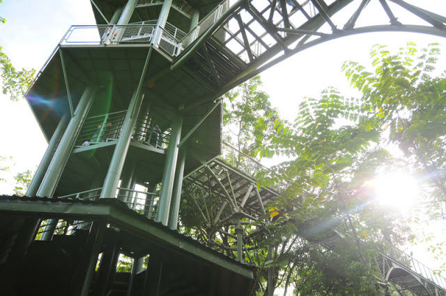 Photo of Rainforest Discovery Centre (RDC) Sepilok Sandakan Sabah Malaysia by Monica Tindall