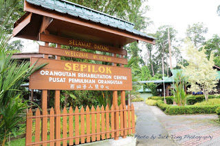 Photo of Sepilok Orangutan Rehabilitation Centre Sandakan Sabah Malaysia by Monica Tindall