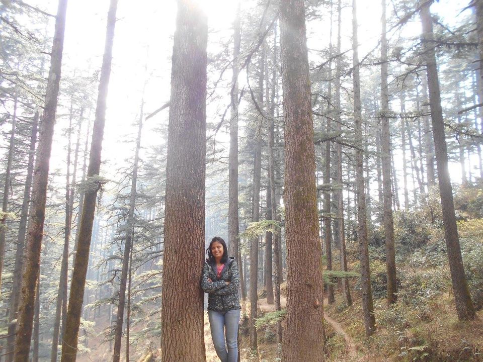 Photo of No one can teach you photography like a solo trip can 3/12 by Sapna Roy