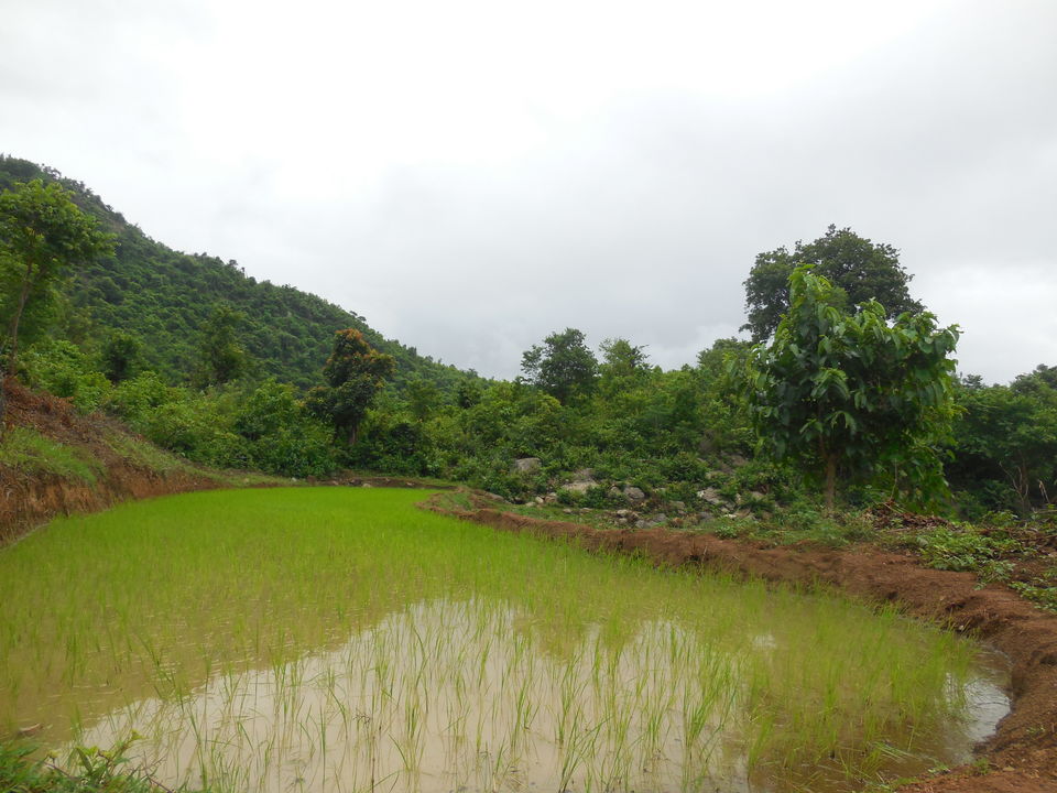 Photo of The Adventures of Ananthagiri 11/13 by Shaheen