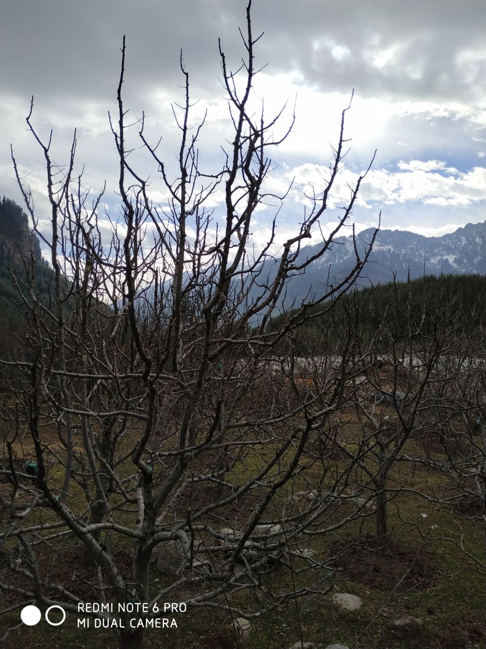 Photo of My Manali Trip by atul Pandey