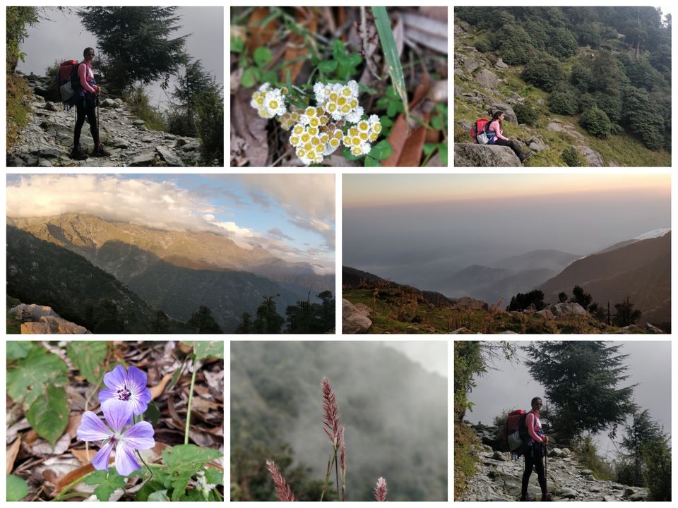 Photo of Delhi - Indrahar Pass Trek - Paragliding at Bir Billing DAY 2 by Prachi Shah
