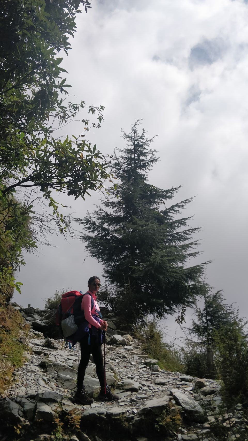 Photo of Triund Trek, Trail to Triund Hill, Dharamshala, Himachal Pradesh, India by Prachi Shah