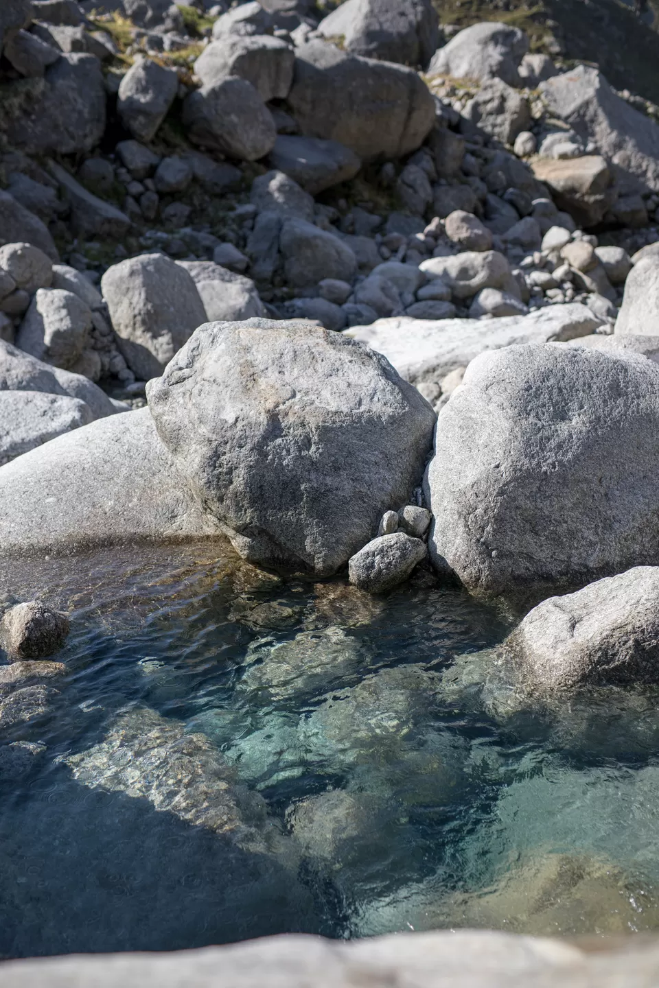 Photo of Delhi - Indrahar Pass Trek - Paragliding at Bir Billing DAY 3 by Prachi Shah