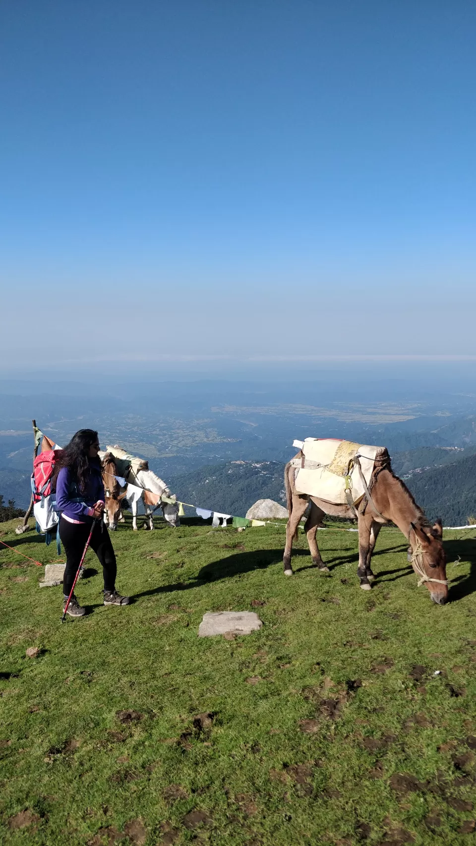 Photo of Triund, Himachal Pradesh by Prachi Shah