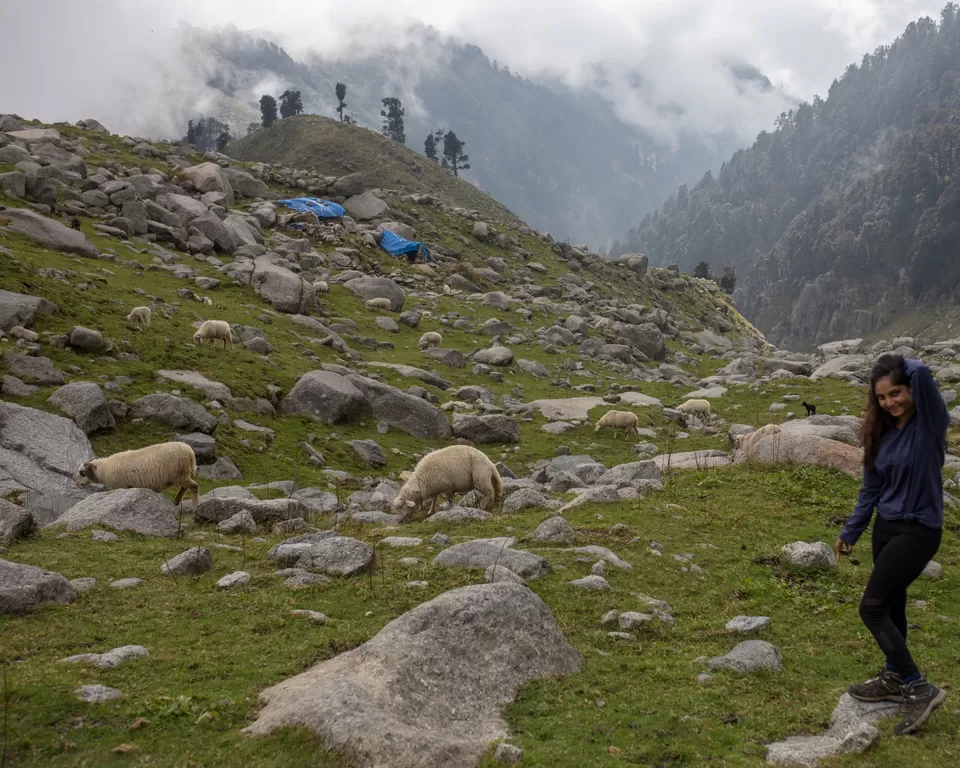 Photo of Delhi - Indrahar Pass Trek - Paragliding at Bir Billing DAY 3 by Prachi Shah