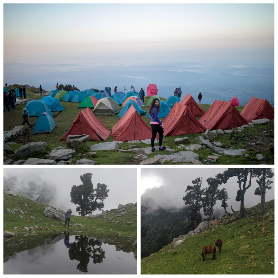 Photo of Delhi - Indrahar Pass Trek - Paragliding at Bir Billing DAY 3 by Prachi Shah