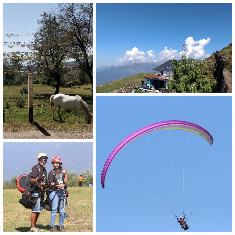 Photo of Delhi - Indrahar Pass trek - Paragliding at Bir Billing DAY 6 & 7: Part 1 by Prachi Shah