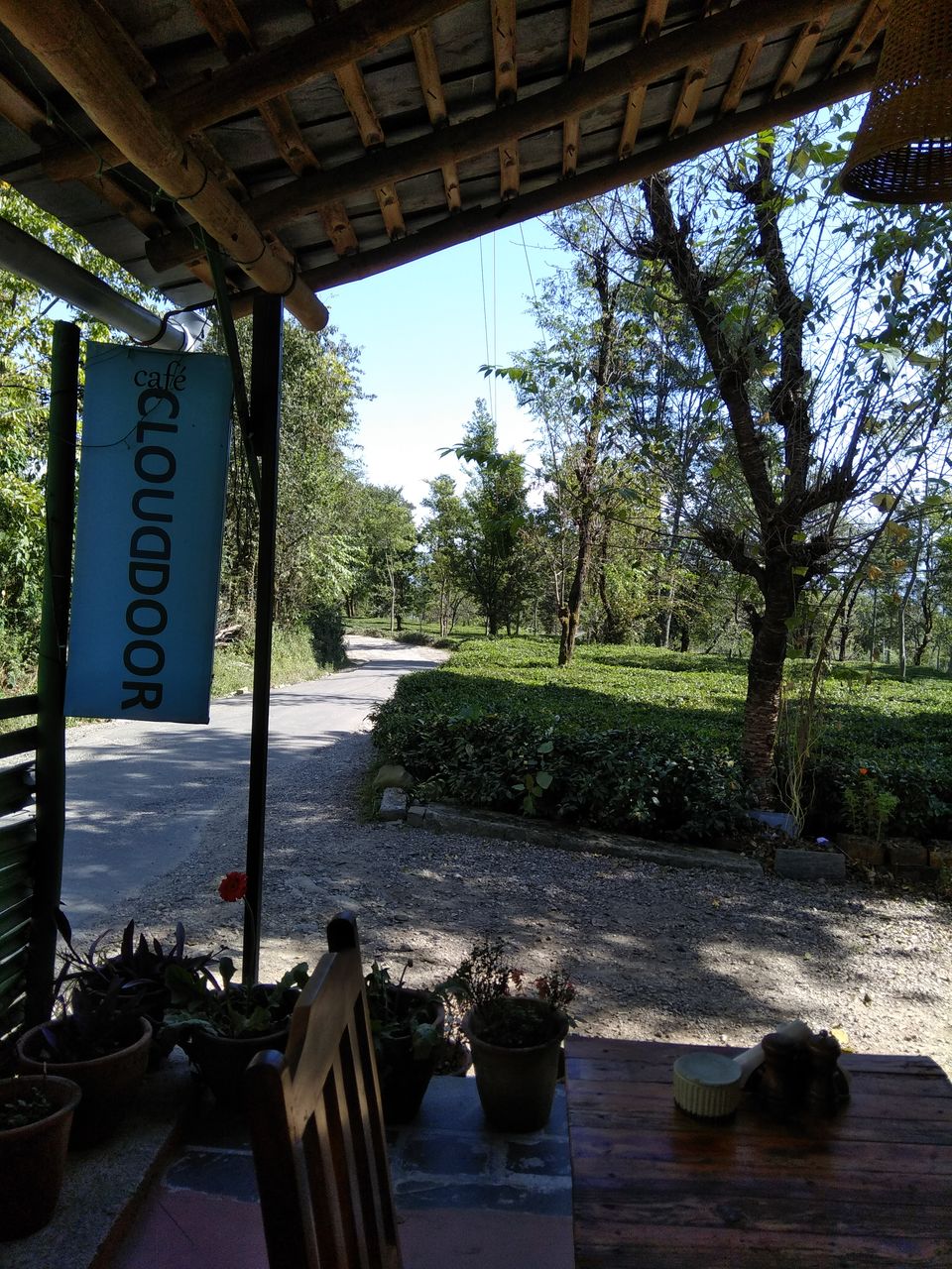 Photo of Cafe Cloud Door, Sukhbag - Chaugan Road, Chaugan, Himachal Pradesh, India by Prachi Shah