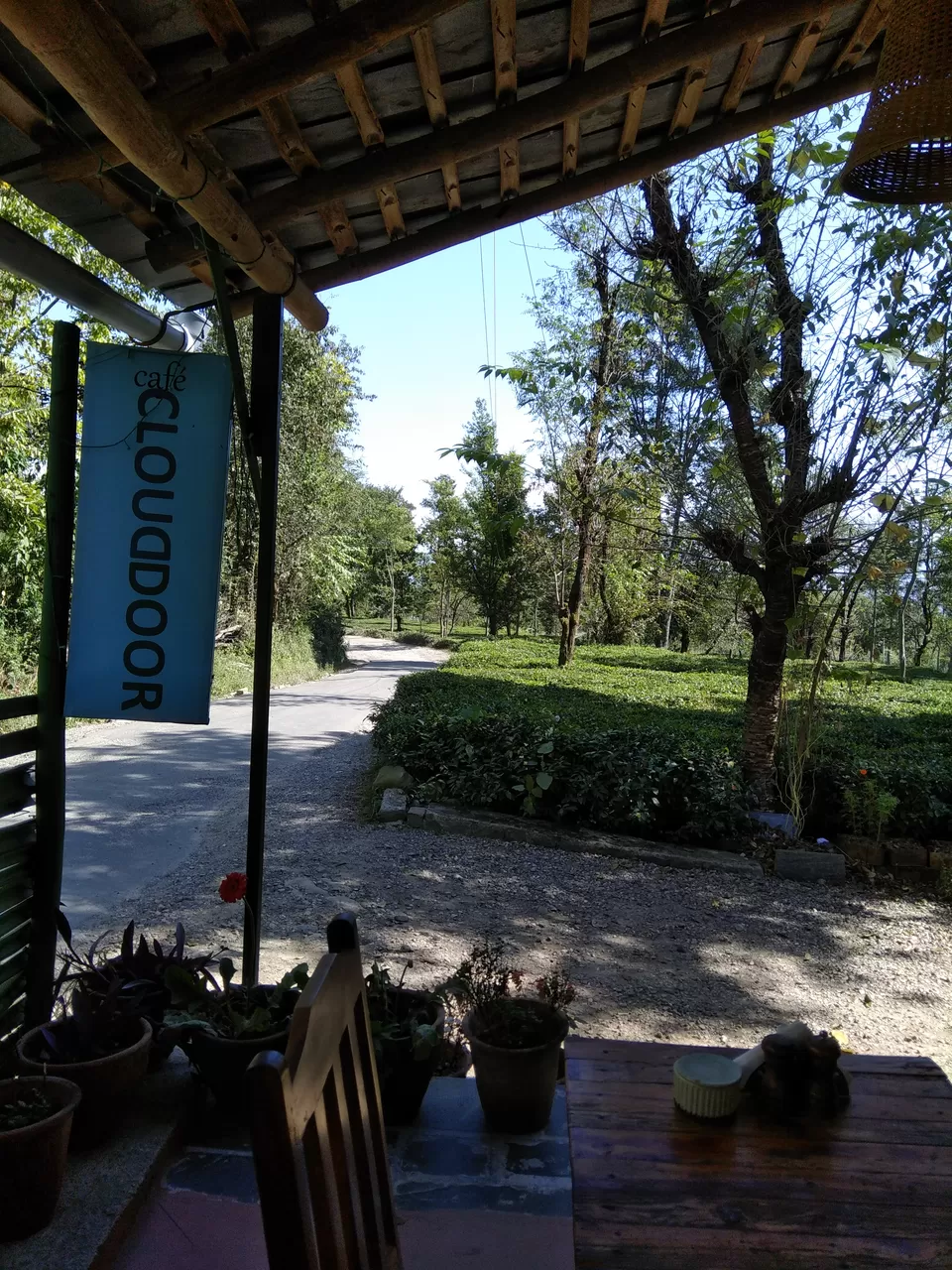 Photo of Cafe Cloud Door, Sukhbag - Chaugan Road, Chaugan, Himachal Pradesh, India by Prachi Shah