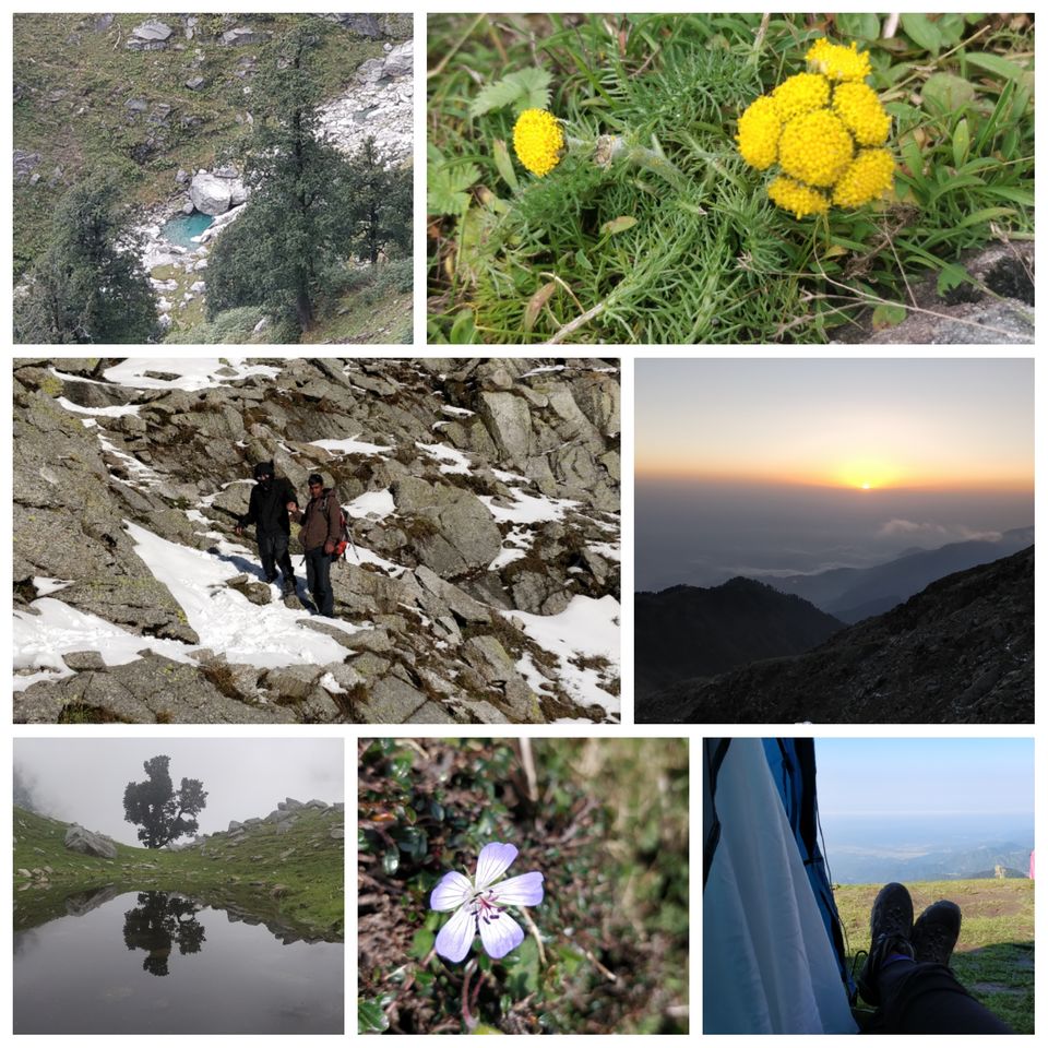 Photo of Delhi - Indrahar Pass trek - Paragliding at Bir Billing DAY 6 & 7: Part 2 by Prachi Shah