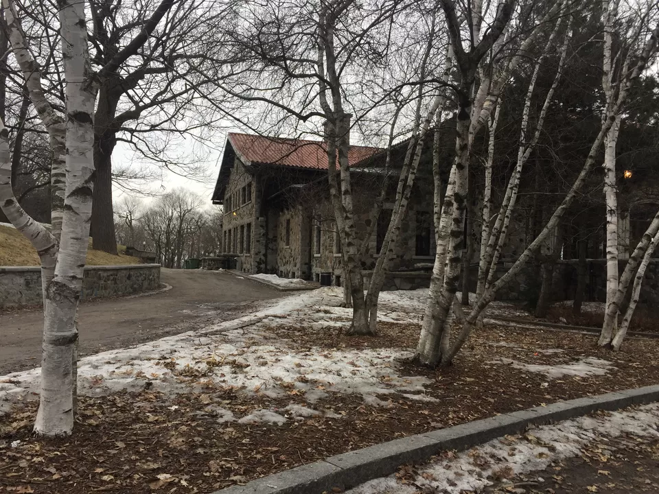 Photo of Mont-Royal, QC, Canada by Prachi Shah