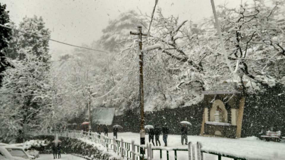 Photo of My first snowfall!! Watching magic unfold...#photosofsnow by Prachi Shah