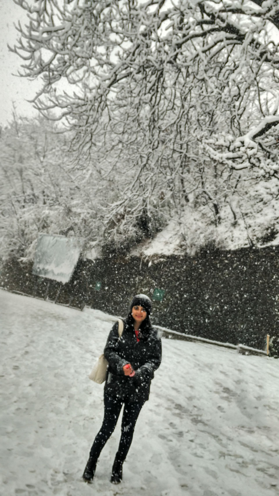 Photo of Mall Road, Bemloi, Shimla, Himachal Pradesh, India by Prachi Shah