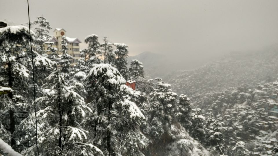 Photo of My first snowfall!! Watching magic unfold...#photosofsnow by Prachi Shah
