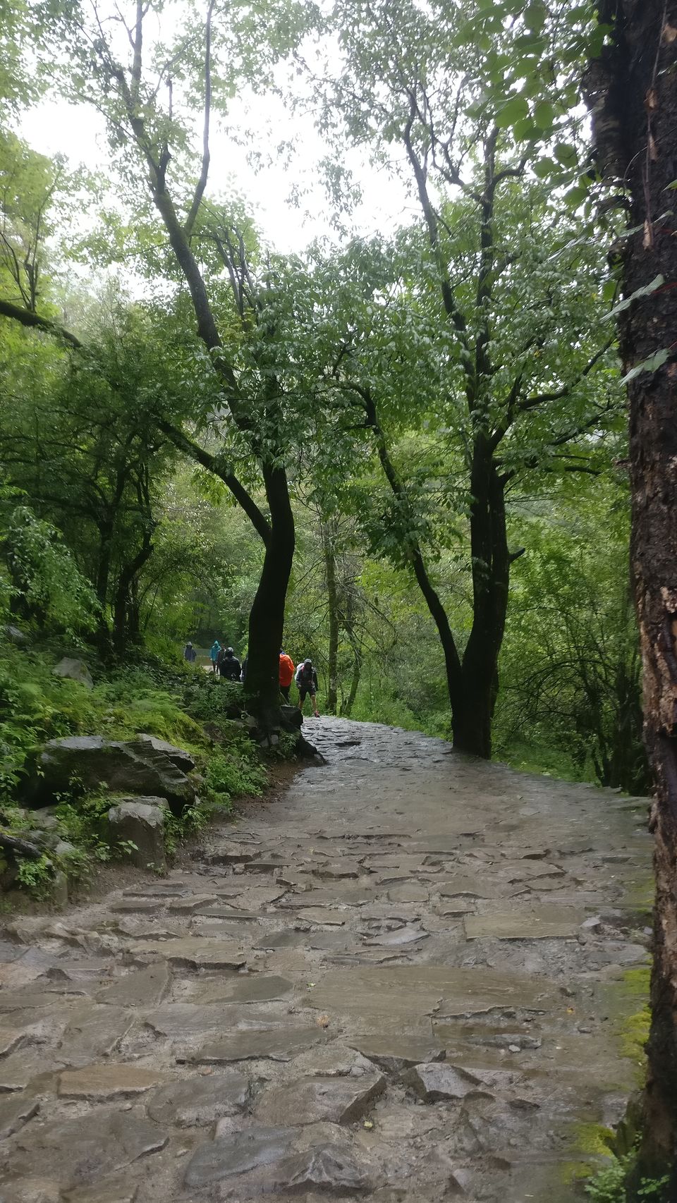 Photo of Govindghat, Uttarakhand, India by Prachi Shah