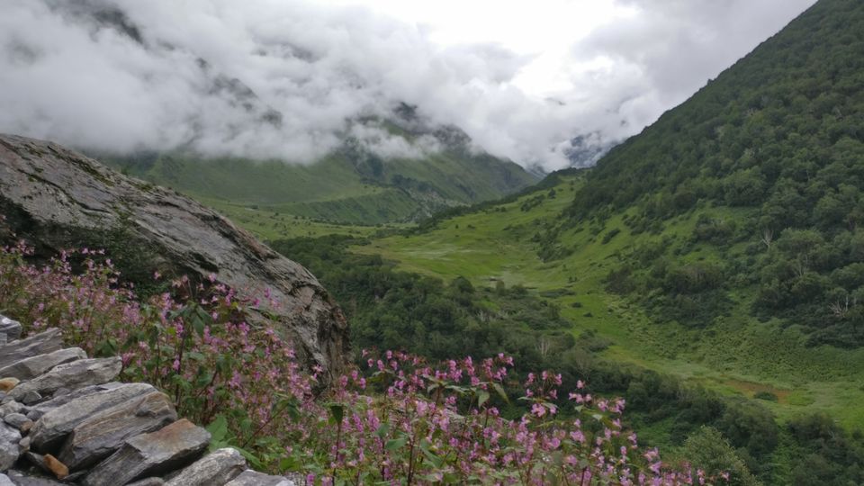 Photo of Valley of Flowers National Park, Uttarakhand, India by Prachi Shah