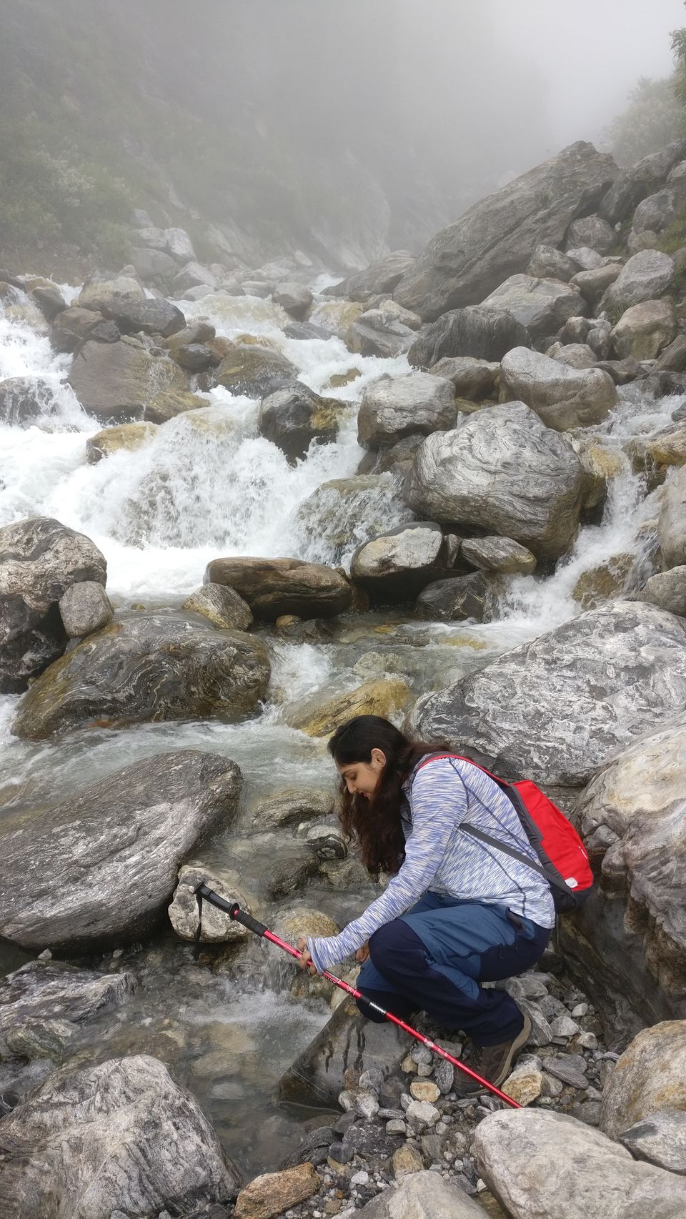 Photo of Valley of Flowers National Park, Uttarakhand, India by Prachi Shah