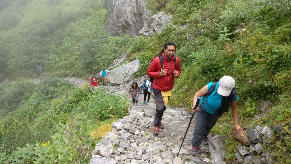Photo of Valley of Flowers National Park, Uttarakhand, India by Prachi Shah