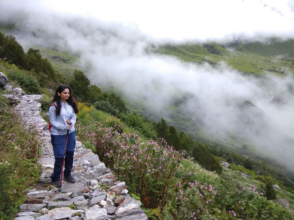 Photo of Valley of Flowers National Park, Uttarakhand, India by Prachi Shah