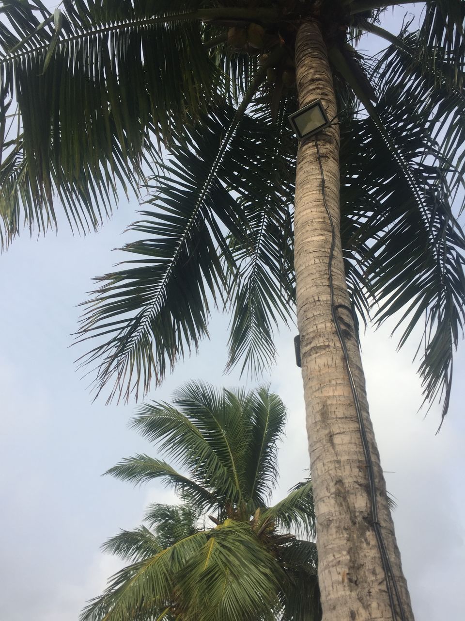 Photo of A weekend in sultry Mahabalipuram #BeachChillin 3/17 by Radhika Sharma Swamy