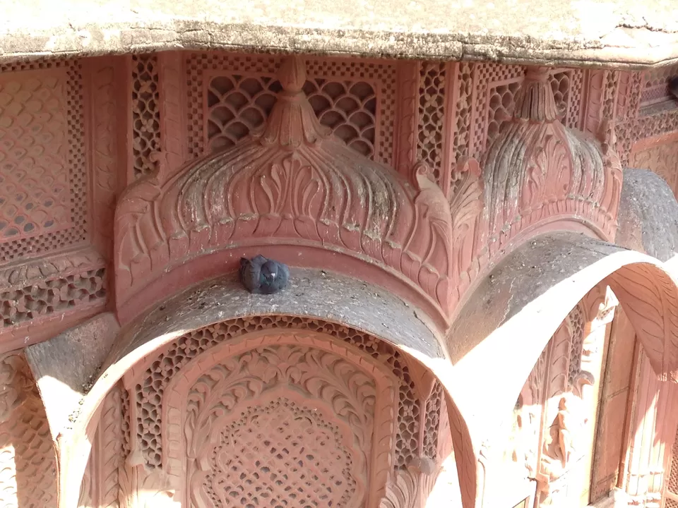 Photo of Mehrangarh Fort, Jodhpur, Rajasthan, India by Shrutikantha Kandali