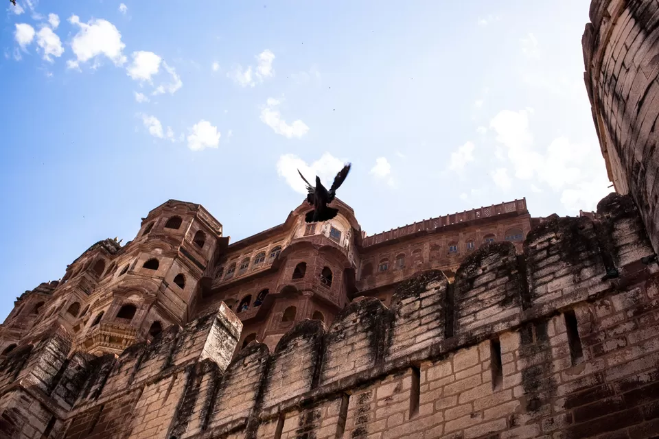 Photo of Mehrangarh Fort, Jodhpur, Rajasthan, India by Shrutikantha Kandali