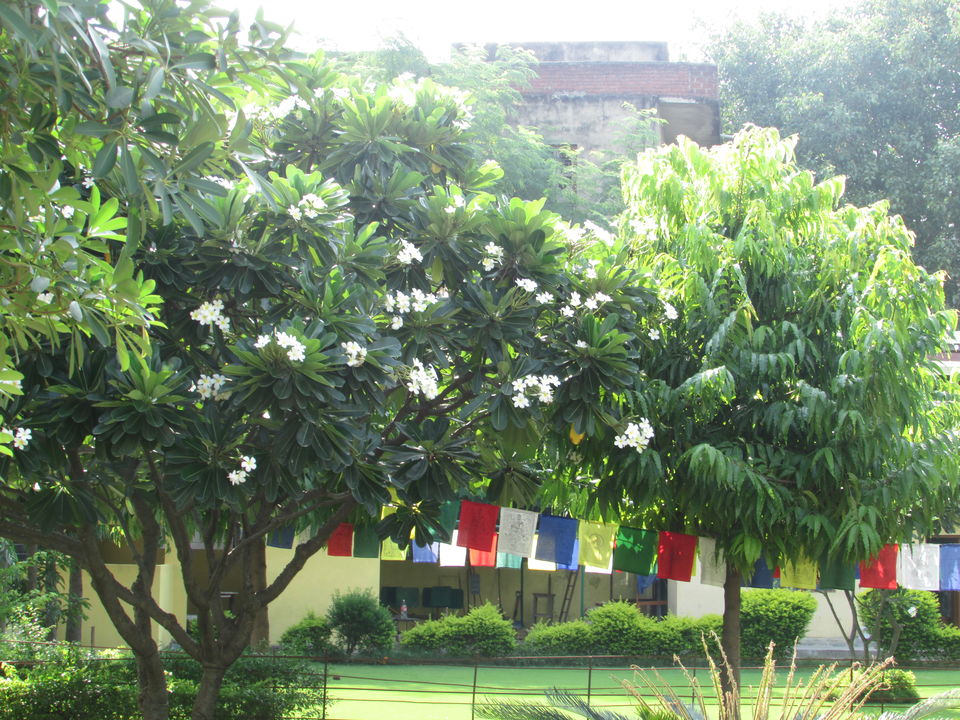Photo of Spend a pristine day in the heart of Bihar 16/22 by Shrutikantha Kandali