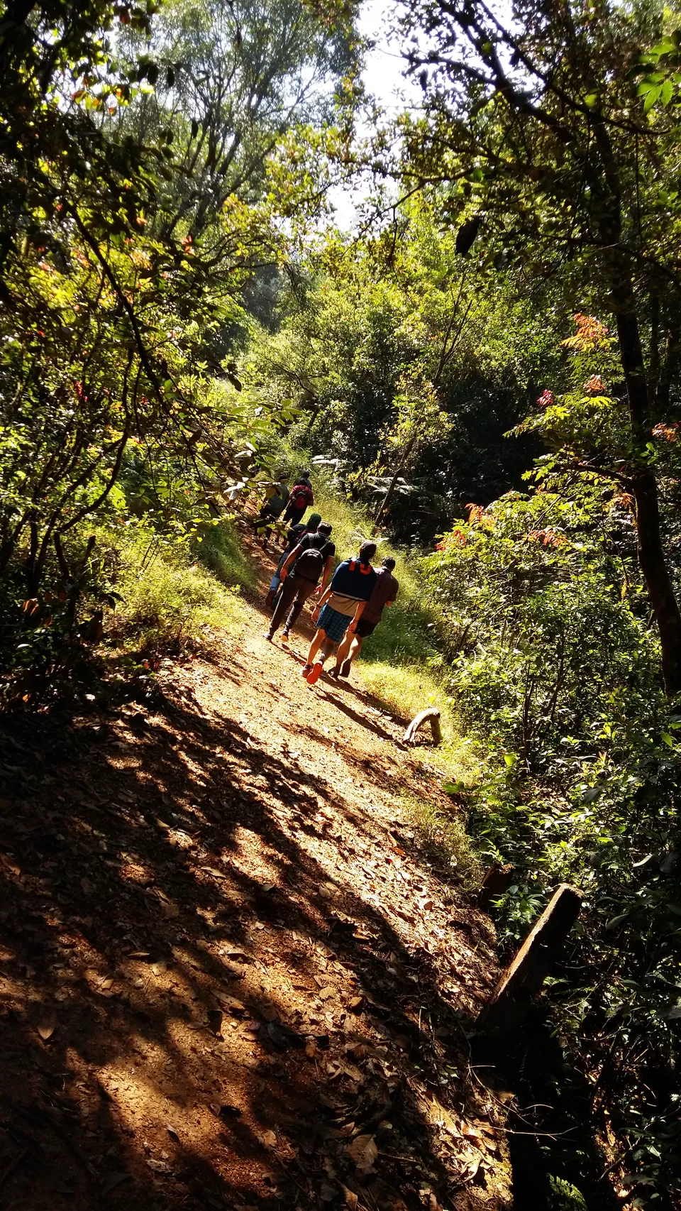 Photo of Kurinjal peak, Kudremukh Range, Nooralbettu, Karnataka, India by Sumukh Hegde